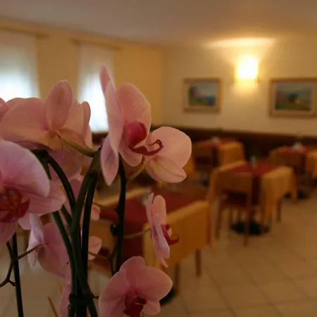 Nadia 2* 말세진느